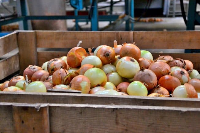 onions